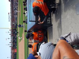 2017 SF Giants Game